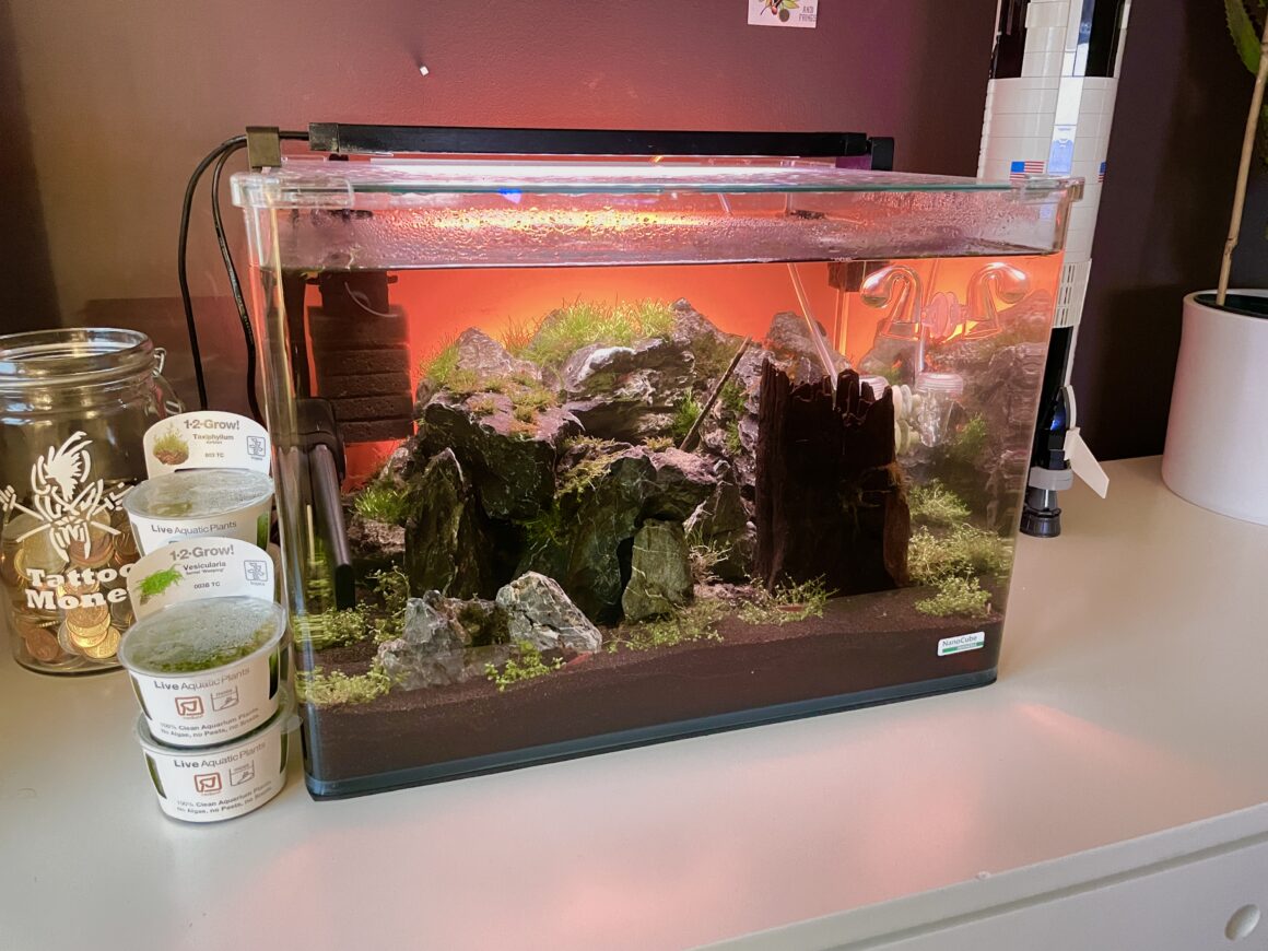 75CA5CFD 4FD2 4116 B8D1 63CE926D1615