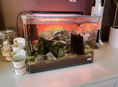 75CA5CFD 4FD2 4116 B8D1 63CE926D1615